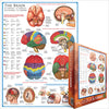 Puzzle Eurographics El Cerebro. 1000 piezas-Puzzle-Eurographics-Doctor Panush