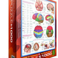 Puzzle Eurographics El Cerebro. 1000 piezas-Puzzle-Eurographics-Doctor Panush