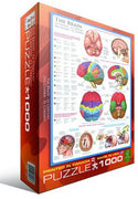 Puzzle Eurographics El Cerebro. 1000 piezas-Puzzle-Eurographics-Doctor Panush