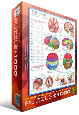 Puzzle Eurographics El Cerebro. 1000 piezas-Puzzle-Eurographics-Doctor Panush